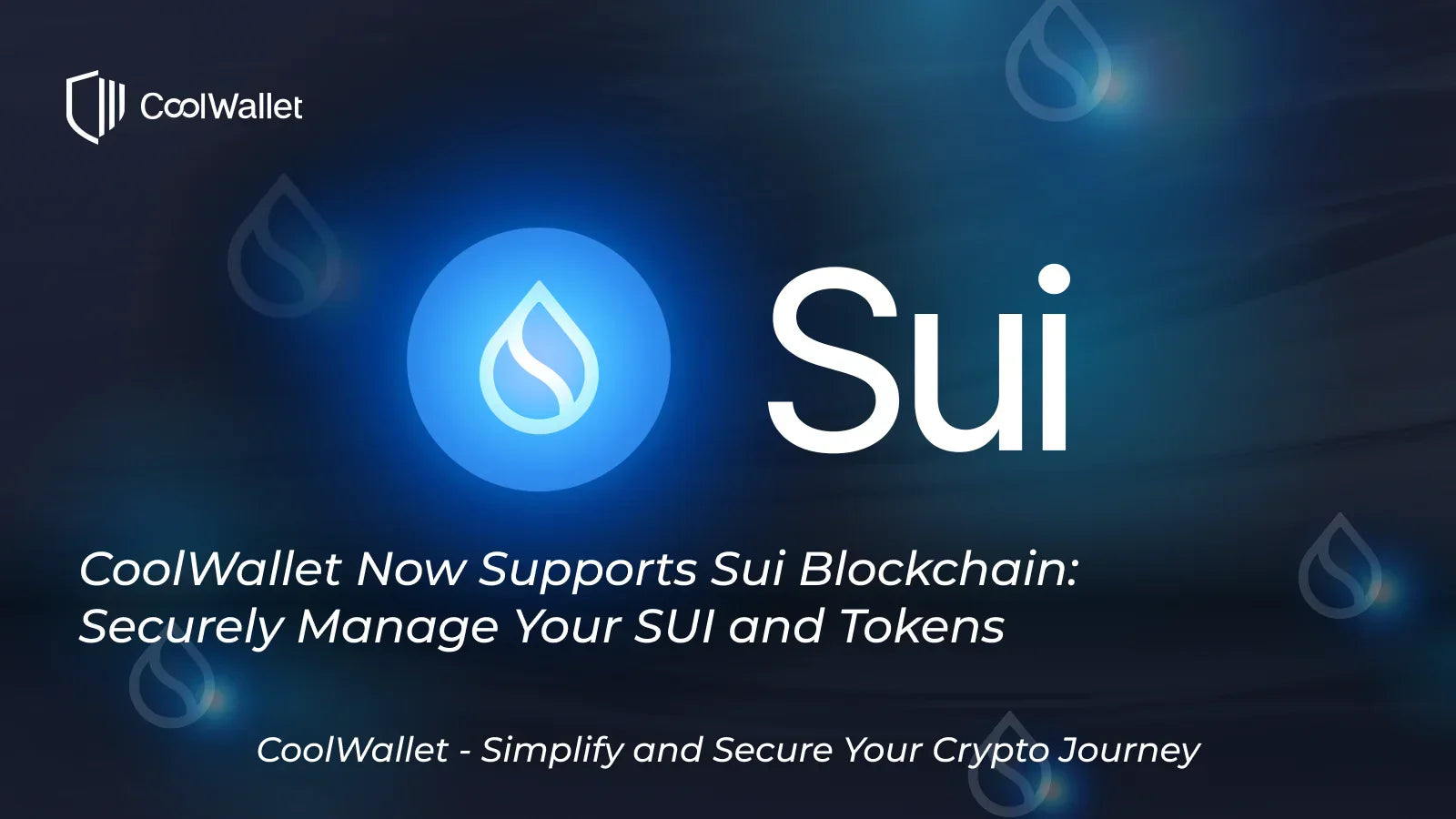 Securely Manage Your SUI and T